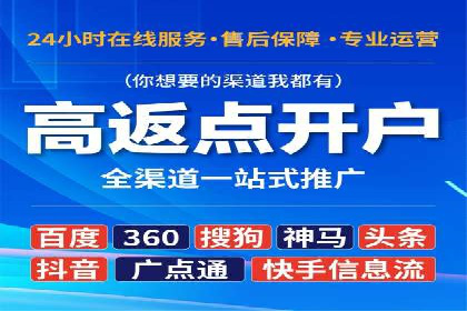 SEM竞价入门指南，经典案例分享